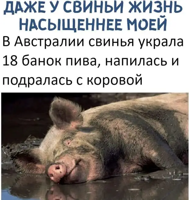 Сидит на бордюре у дороги старый дед, перед ним лежит шапка с мелочью...