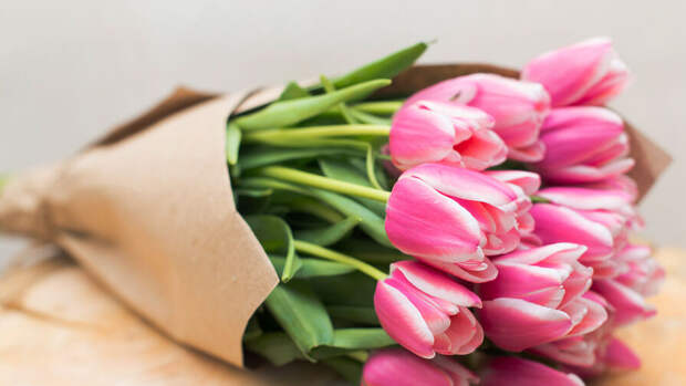 7 марта: День тюльпанов, профессиональный праздник спасателей на воде и Родительская суббота