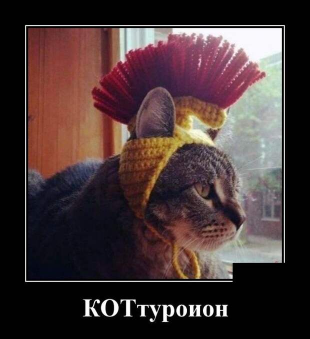 Демотиваторы