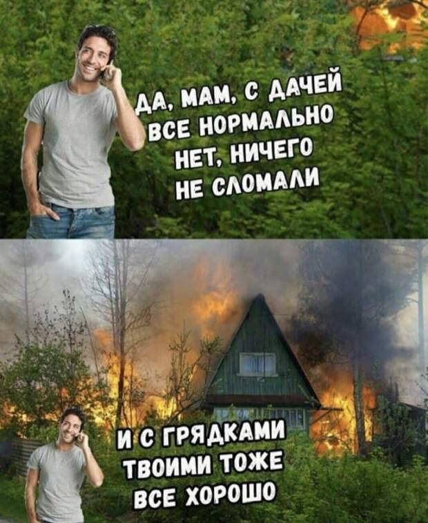 история про огород