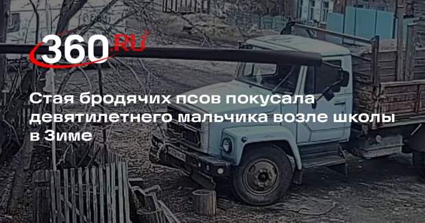Стая бродячих псов покусала девятилетнего мальчика возле школы в Зиме
