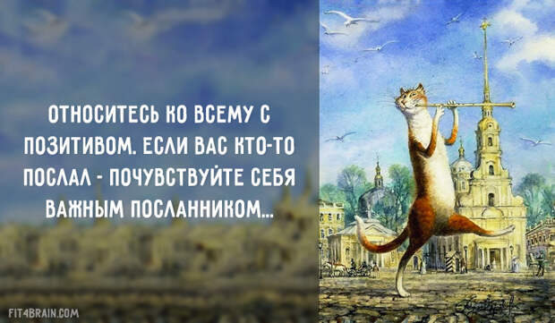 Совет дня