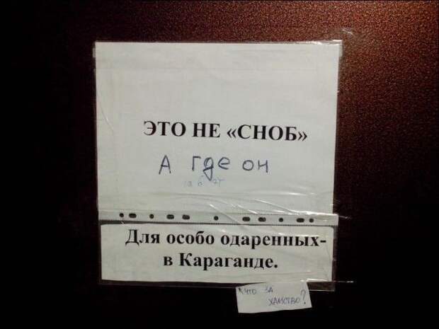Кому-то маразмы, а кому и остроумие Кому-то маразмы, а кому и остроумие