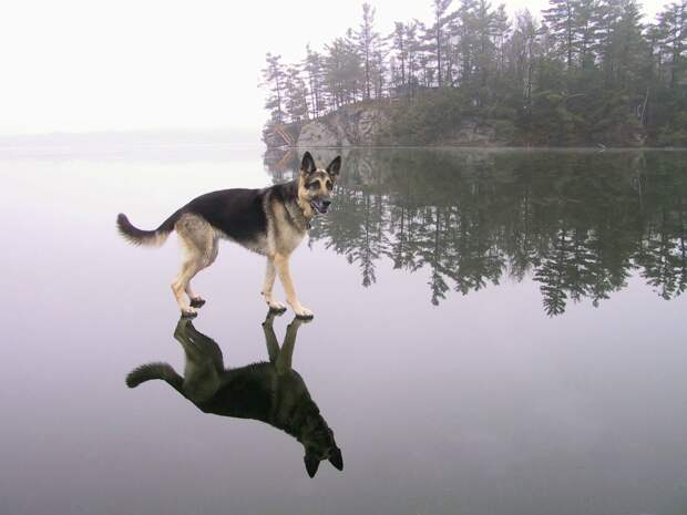 7 фотографий, которые вызвали вопросы у фотографов в 2013 году