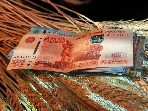 Почти половина россиян откладывает не более 20% дохода — опрос НАФИ