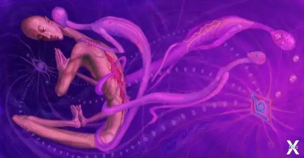 Ковер-самолет существовал на самом деле?