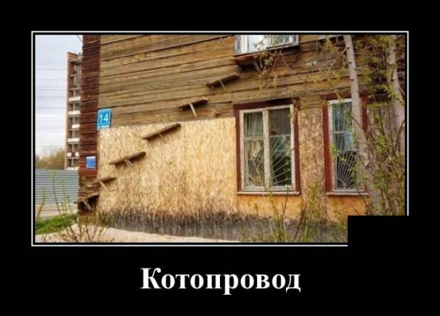 Демотиваторы (30 фото)
