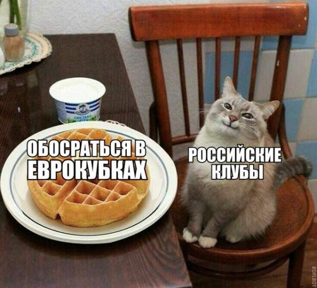www.vsyako.net