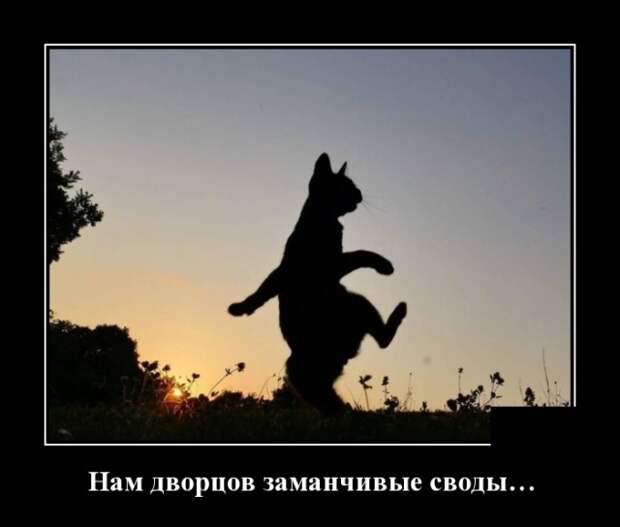 www.vsyako.net
