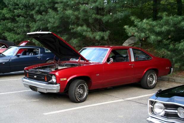 День коллекционеров в США (71 фото) День коллекционеров в США (71 фото)