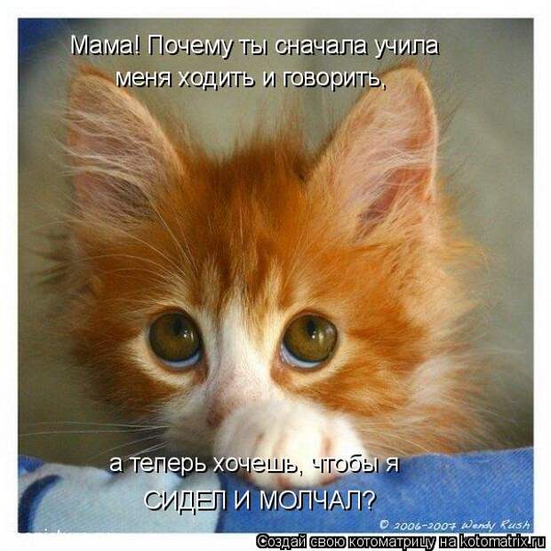 Мама! Почему ты сначала учила меня ходить и говорить, а теперь хочешь, чтобы я СИДЕЛ И МОЛЧАЛ?