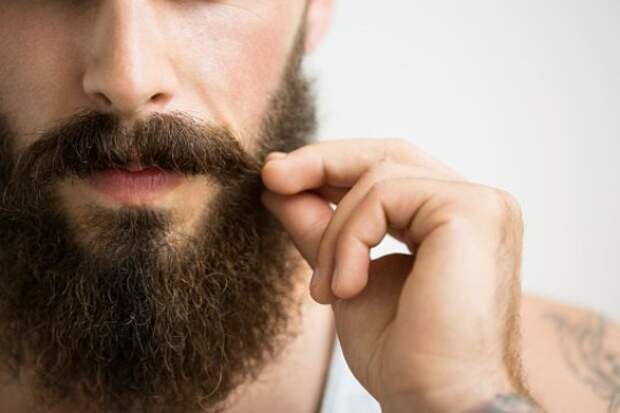 Побрейтесь немедленно! Согласно научным исследованиям, в мужской бороде больше микробов, чем в шерсти собак