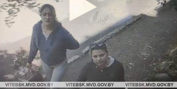 Две бобруйчанки ограбили 87-летнюю пенсионерку в ее квартире: серьги сняли прямо с жертвы.