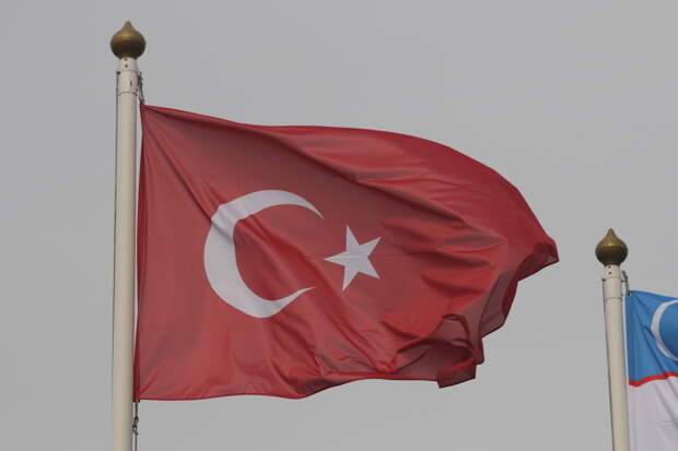 Bloomberg рассказал о желании Турции добиться от России огромной скидки на газ