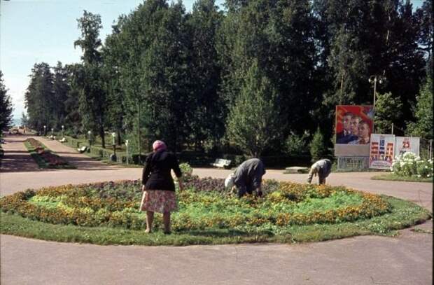 www.vsyako.net