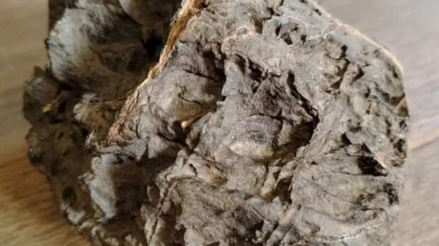 "Метеорит с берегов Катуни": в Бийске выставили на продажу небесное тело