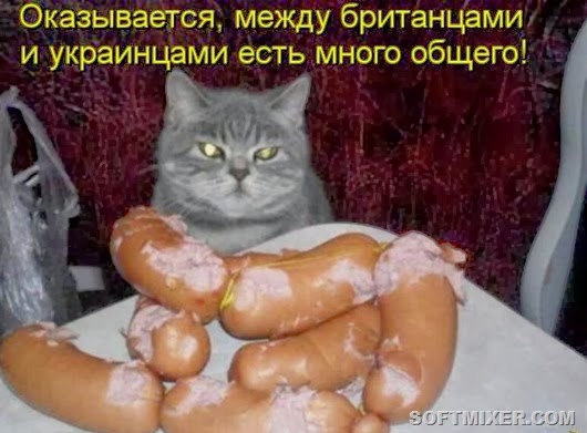 ebbaf11d32bf8543d9b4c72dbfe_prev