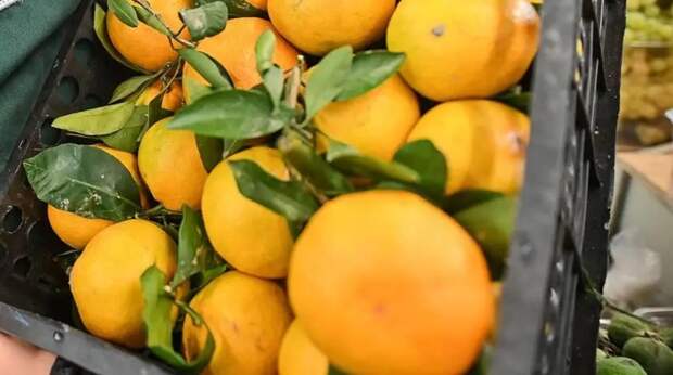 Медик назвала допустимое количество мандаринов в день