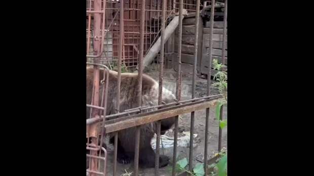 Video: Клип @donetskdnr_vk