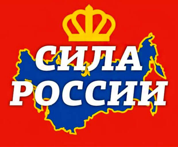 Партия «Сила России» - это, конечно, тот еще кремлевский пирог