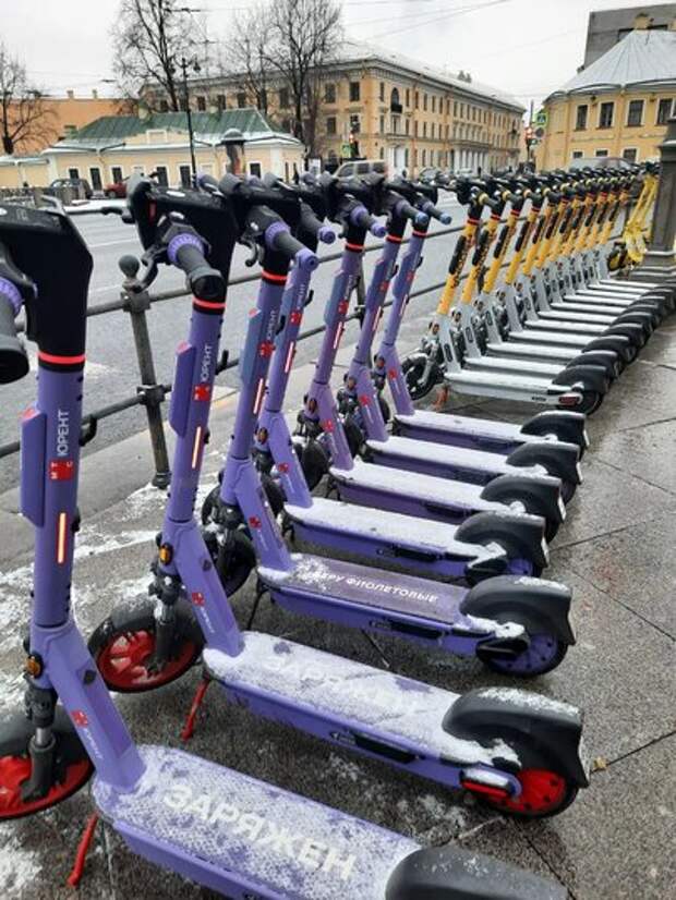 Непогода поставила на паузу прокат электросамокатов в Петербурге
