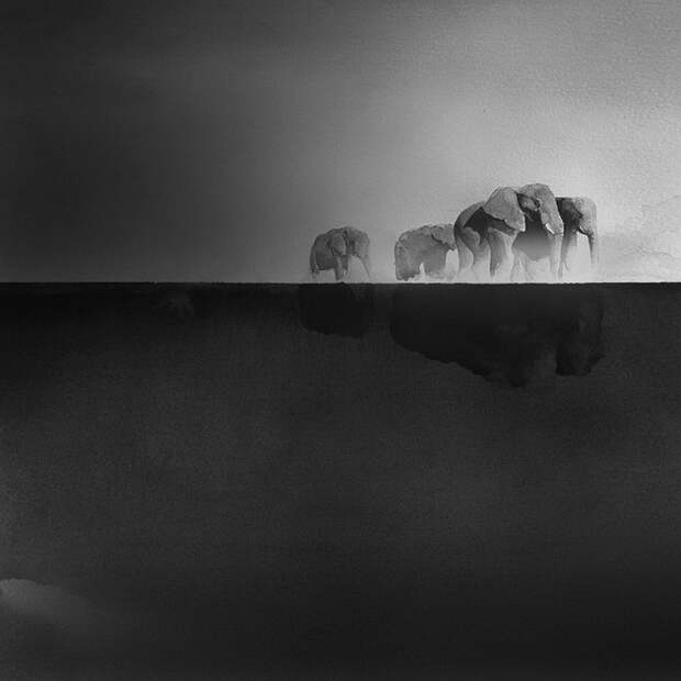 Черно-белые акварели Elicia Edijanto Черно-белые акварели Elicia Edijanto