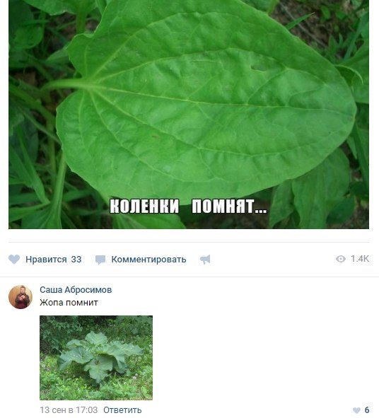 Это какой-то разрыв башки!