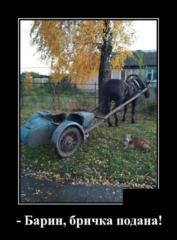 Демотиваторы (30 фото)