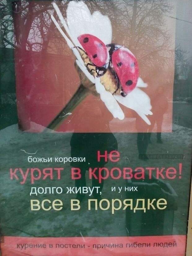 Эпическая социальная реклама