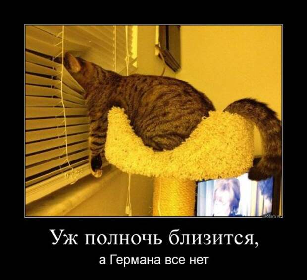 Сборник прикольных демотиваторов (13 шт)