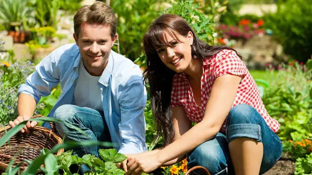 Как обустроить дачный участок: 5 советов по ландшафтному дизайну