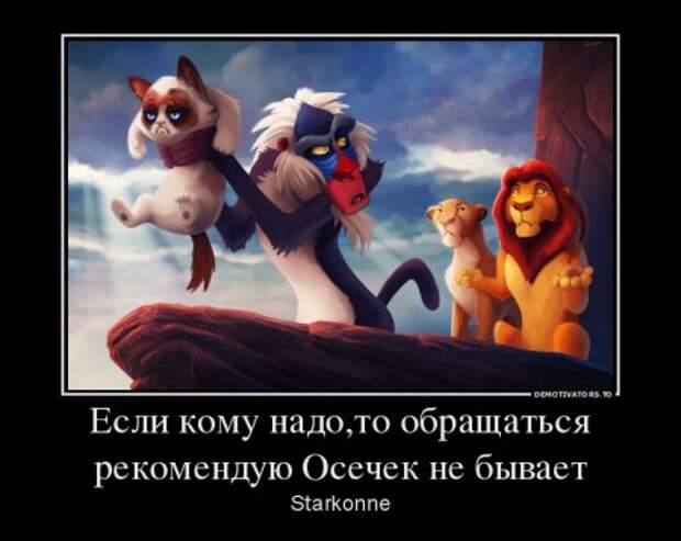 Демотиваторы, наши прикольные цитаты.