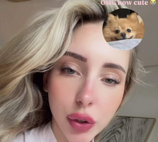 Юлия Вавилова показала на видео мягкую игрушку, сделанную из своей собаки