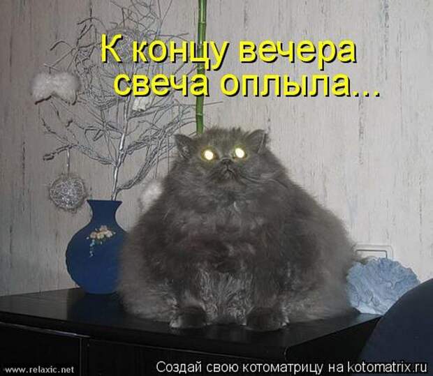 kotomatrix_106