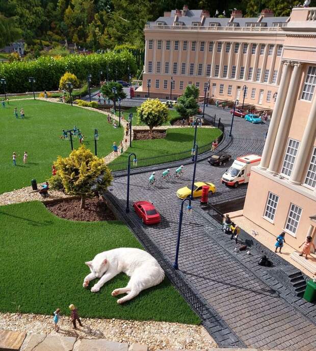 Кот, уснувший в парке миниатюр