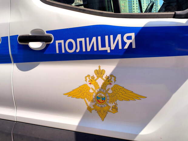 Студент за рулем ВАЗ сбил трех школьников на пешеходном переходе в Подмосковье
