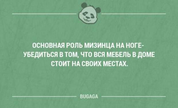 Смешные фразы и мысли со смыслом. Часть 71 (18 шт)