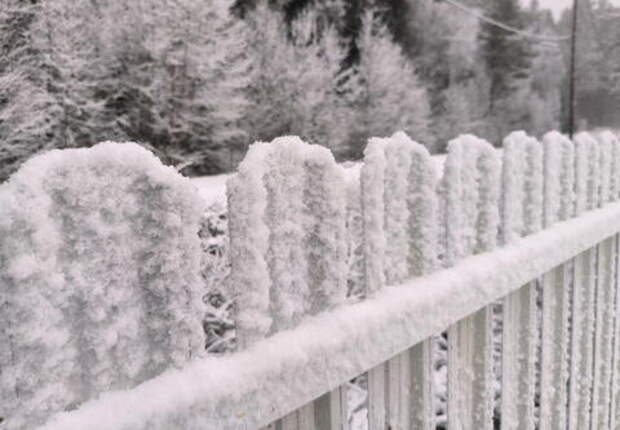 Блогерша обвинила владельцев магазина в Белореченске, которые нажились на недельном отключении электричества