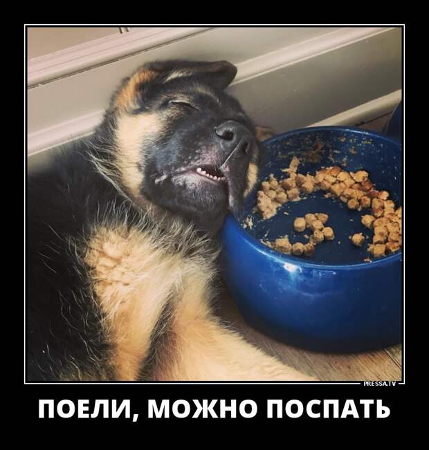 Новые смешные демотиваторы (46 фото)
