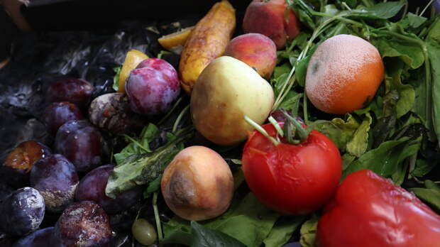 Специалист Кузнецова: перезрелые овощи и фрукты могут быть опасны для здоровья