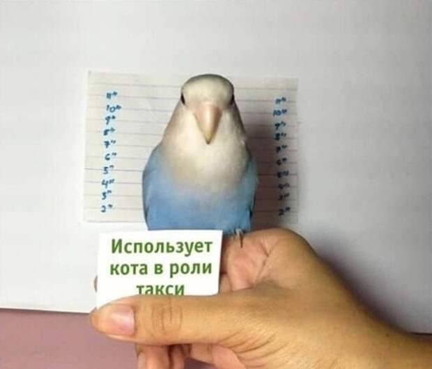 Нарушитель ) Нарушитель )