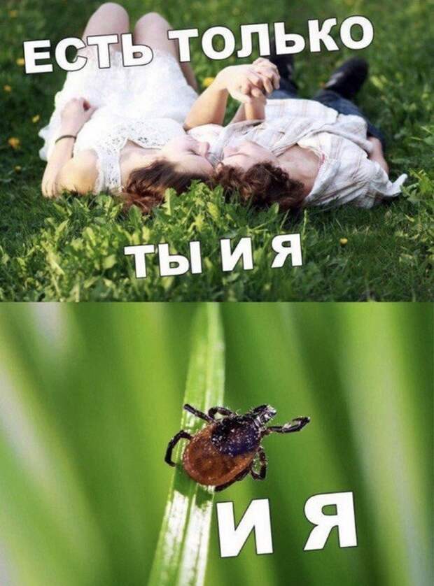 Лучшие шутки и мемы из Сети