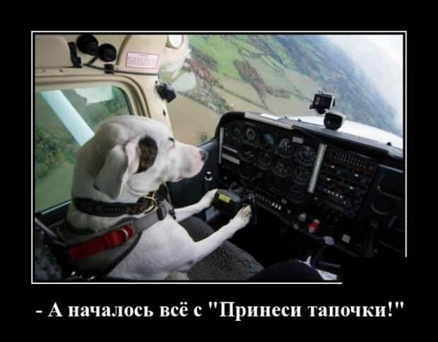 www.vsyako.net