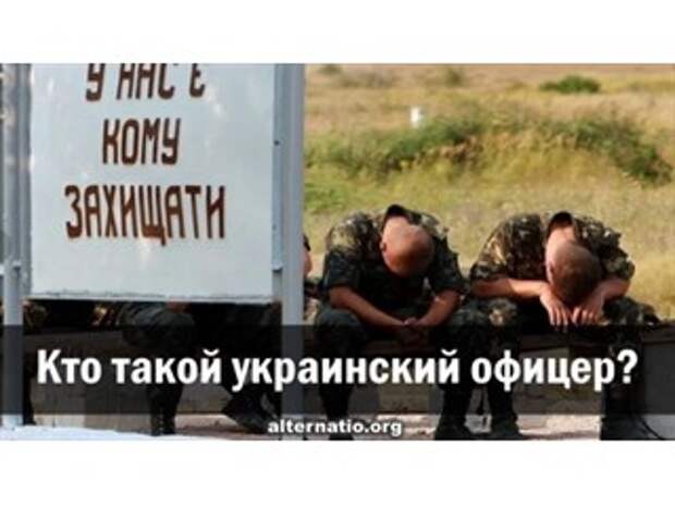 Кто такой украинский офицер?