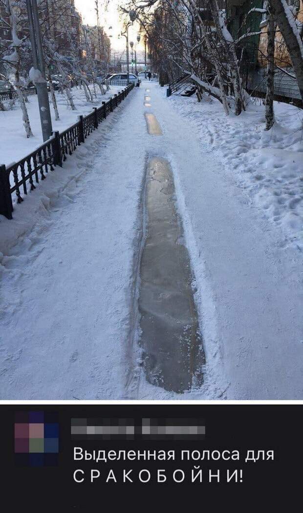 Скрины из социальных сетей