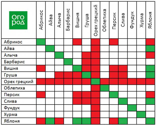 Таблица совместимости плодовых деревьев