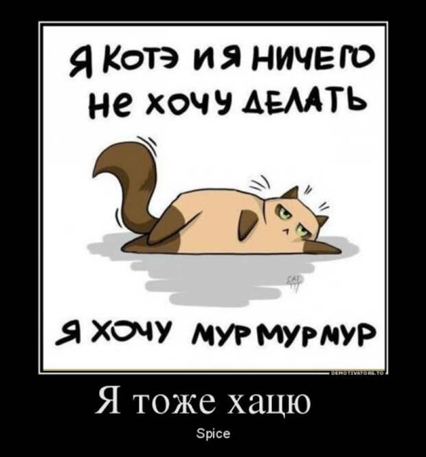 Демотиваторы, наши прикольные цитаты.