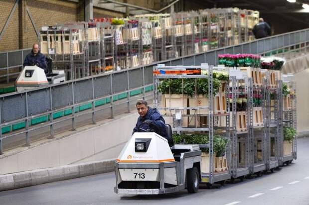 Цветочный аукцион FloraHolland в Голландии (14 фото)