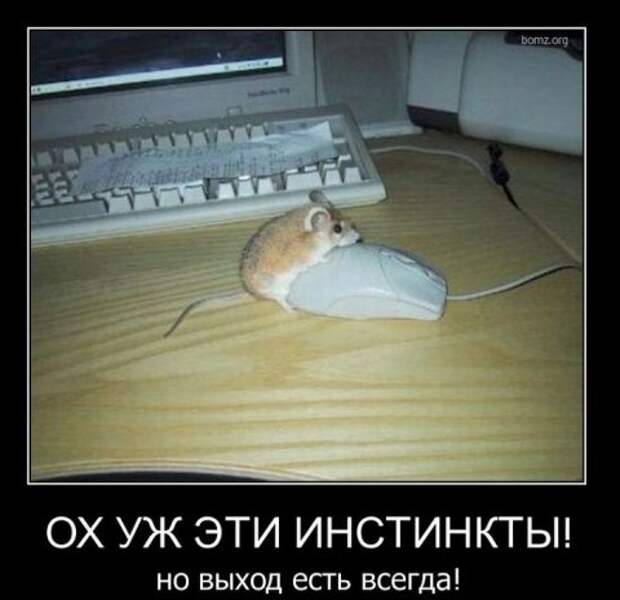 Прикольные жёсткие демотиваторы (40 фото)