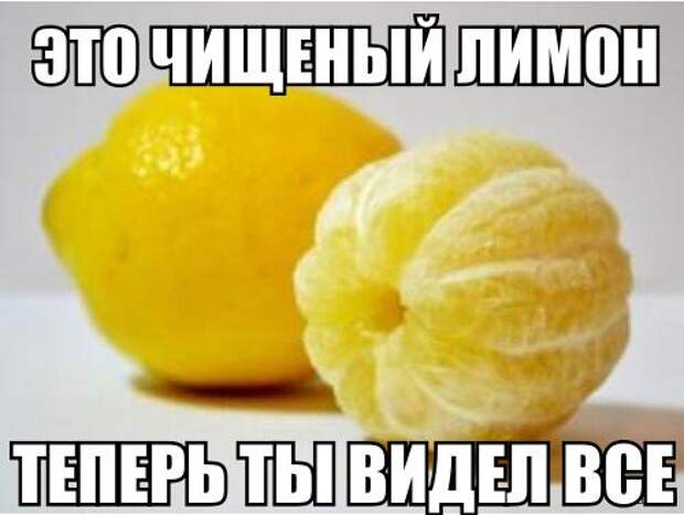 Новогодние приколы